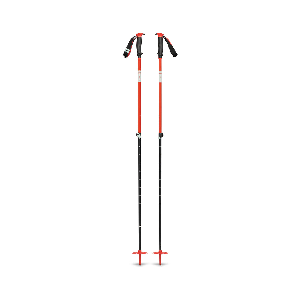 Traverse Ski Poles - Past Season